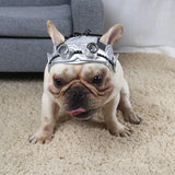 Pet Products Party Dress Fight - Lootquake