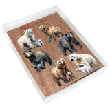 Bear Adventures Decorative Wooden Magnets Set of 6 by G. Debrekht - Wildlife Decor - 8090105G-S6