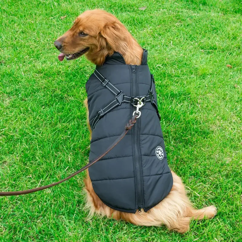 Pet Dog Clothes For Small Dogs Winter Warm Dog Hooded Coat Jackets Chihuahua Pug Outfits Puppy Cat Clothing - Lootquake