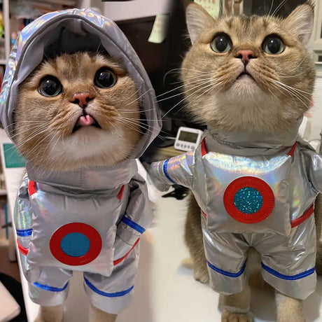 Pet Turned Dog Funny Dress Up Space Suit Stand Halloween Pet Dress Clothes - Lootquake