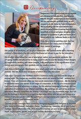 Pelicans Wooden Cork Coasters Gift Set of 4 by J. Bergsma - Coastal Holiday Decor  - 8199460C-S4