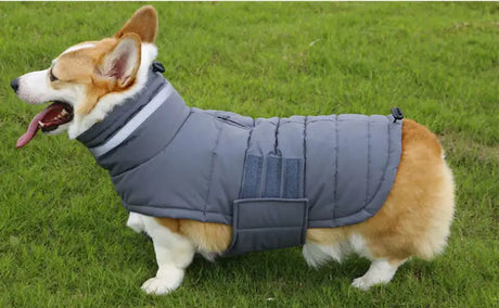 New Winter Dog Coat Waterproof Pet Clothes For Medum Large Dogs Warm Thicken Dog Vest Custome Labrador Jacket - Lootquake