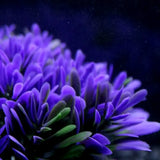 Fish tank landscaping aquarium accessories - Lootquake