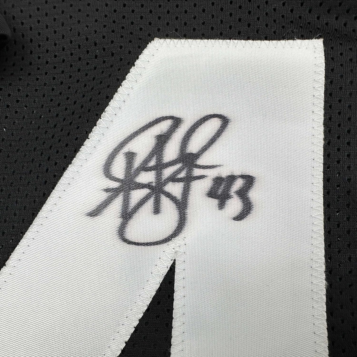 Camiseta de fútbol retro de Pittsburgh, negra, enmarcada, autografiada y firmada por Troy Polamalu, 35 x 39, JSA COA