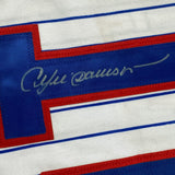 Camiseta de béisbol de rayas de Montreal, enmarcada, autografiada y firmada por Andre Dawson, 35 x 39, JSA COA