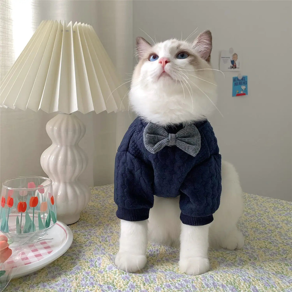 Warm And Cute Clothes For Pets Feet - Lootquake