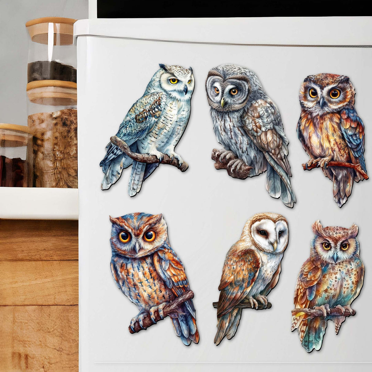 Night Owls Decorative Wooden Magnets Set of 6 by G. Debrekht - Wildlife Decor - 8090004G-S6