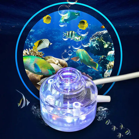 Aquarium lamp - Lootquake