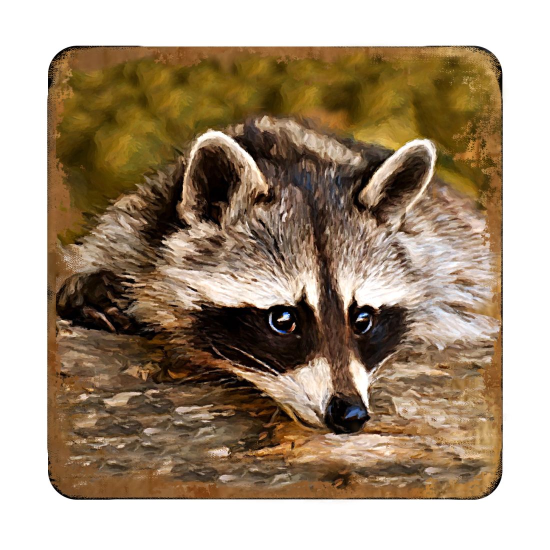 Raccoon Wooden Cork Coasters Gift Set of 4 by Nature Wonders - Nature Wildlife Decor  - 95289C-S4