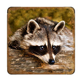 Raccoon Wooden Cork Coasters Gift Set of 4 by Nature Wonders - Nature Wildlife Decor  - 95289C-S4