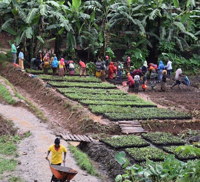 You Plant We Plant Tree Kits Happy Pack, We Plant 30 More Trees-3