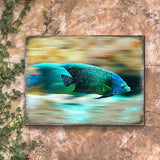 Arte de pared costero de madera con peces tropicales de Nature Wonders - Decoración costera de vida marina - 95264B