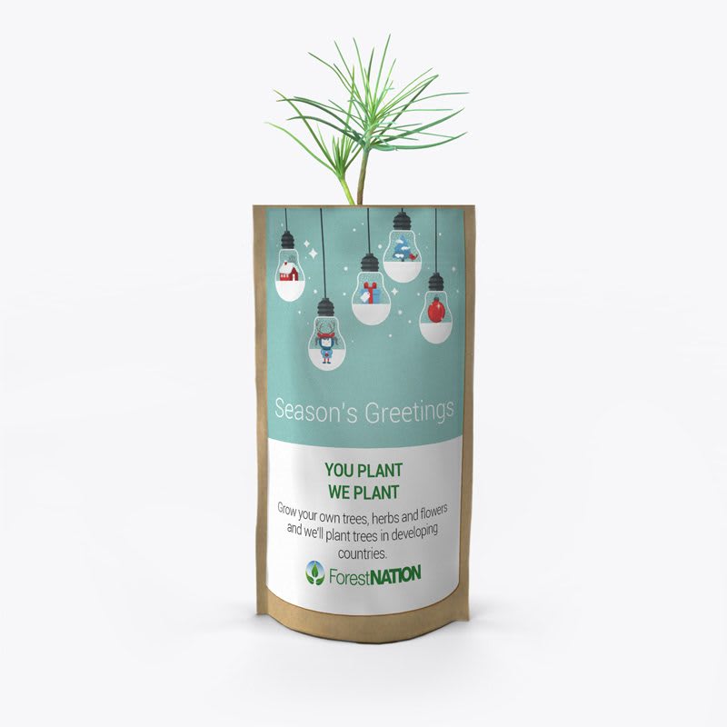 Season's Greetings Light Bulbs Growing Kit