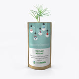 Season's Greetings Light Bulbs Growing Kit