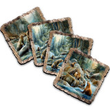 Charming Sea Lions Wooden Cork Coasters Gift Set of 4 by Nature Wonders Coastal Wildlife Decor  - 95387C-S4