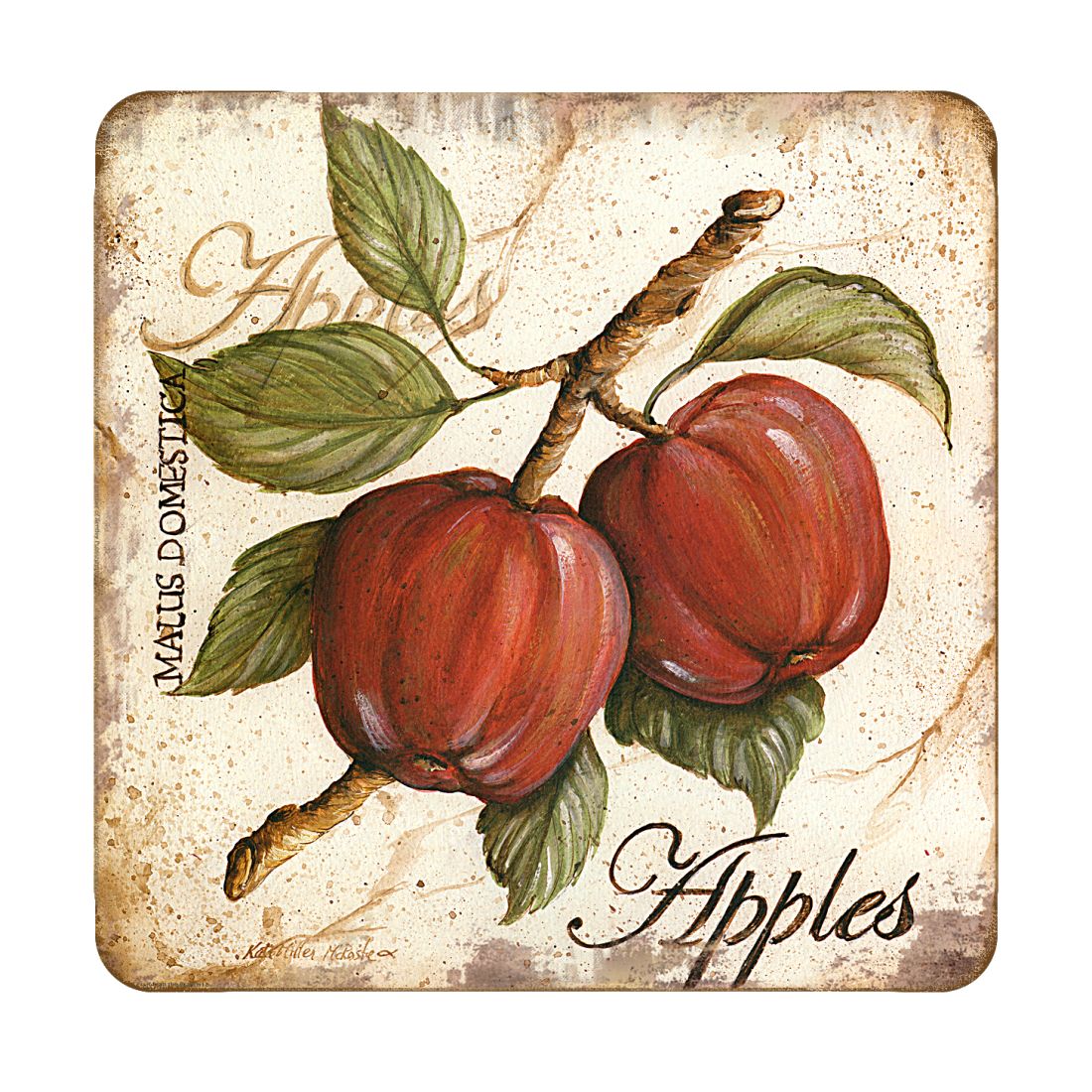 Apples Wooden Cork Coasters Gift Set of 4 by Nature Wonders Nature Wildlife Decor  - 8198633C-S4