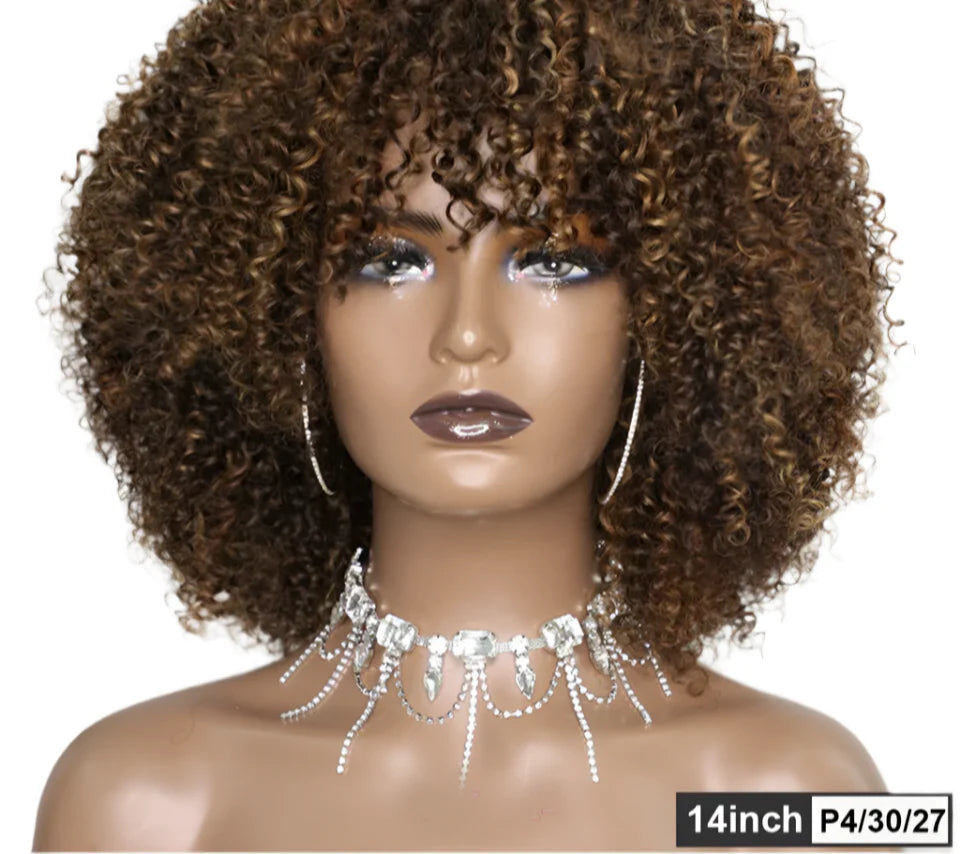 250% Density Afro Kinky Curly Wig with Bangs | Brown Glueless Human Hair