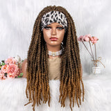22" Curly Box Braids Wig | Crochet Hair | Heat Resistant | Daily Wear