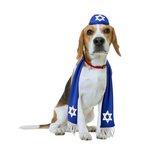Pets Yarmulke and Tallis Hanukkah Set with Star of David