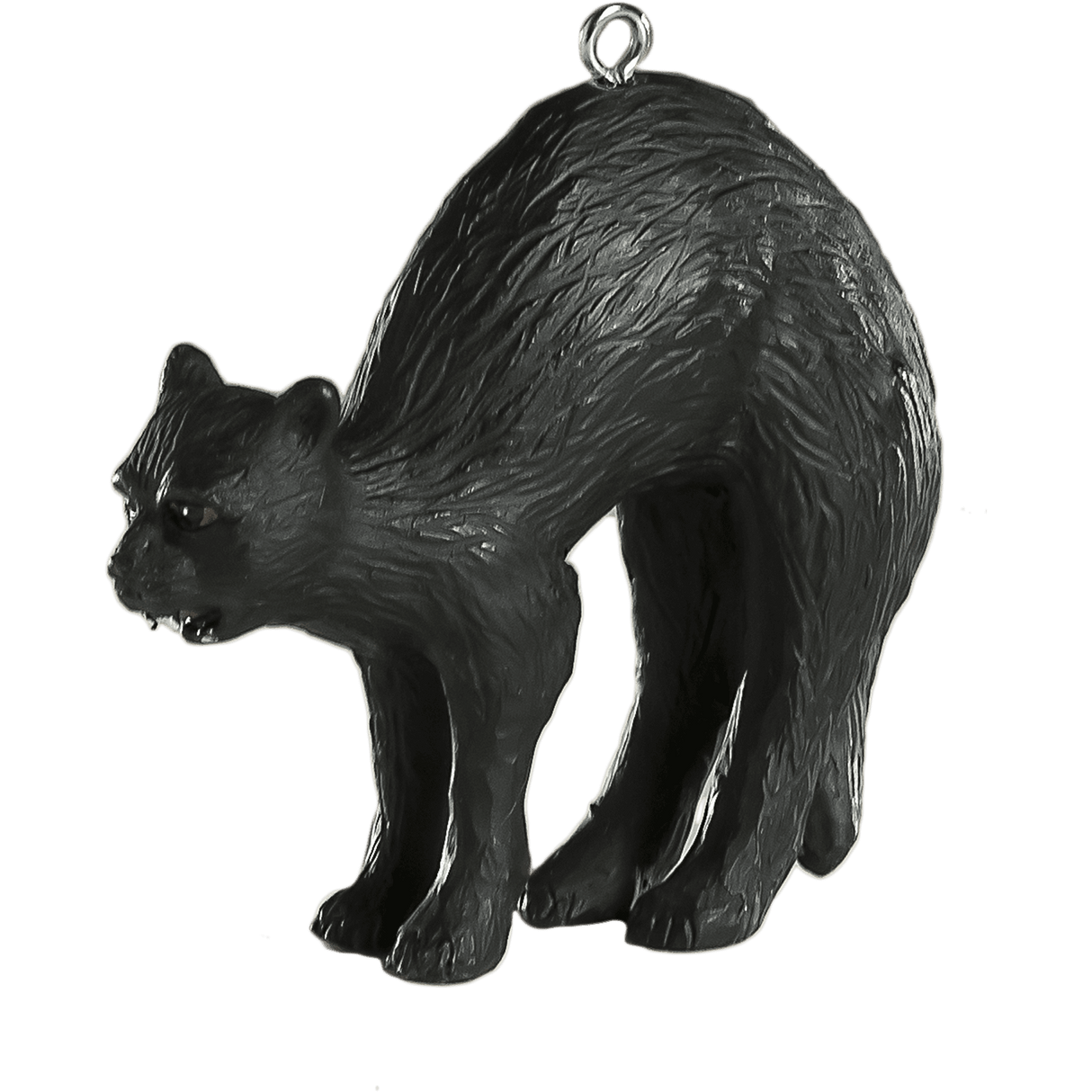 Black Cat