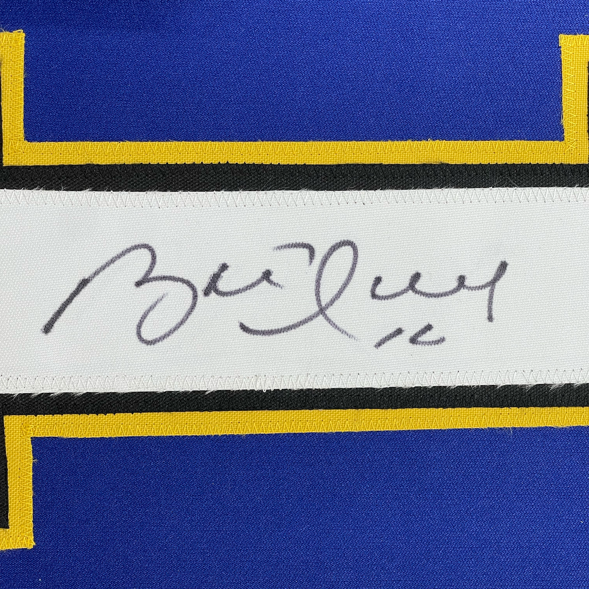 Camiseta de hockey azul y blanco de St. Louis, enmarcada, autografiada y firmada por Brett Hull, 35 x 39, números, JSA COA