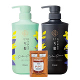 Bundle Shampoo and Conditioner Hair Care Set - Ichikami ColorCare with Free PPT Hair Mask Treatment Included