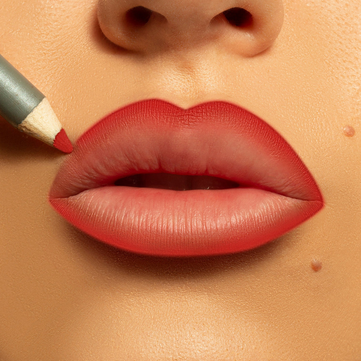 PAQUETE DE DELINEADORES DE LABIOS