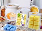 clamshell Wax Melts - Spa & Relaxation  – Calming Aromas for Wellness, Self-Care & Gift Sets