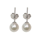 Pearl Stud Earrings and Sea Pearl Earrings - Lootquake
