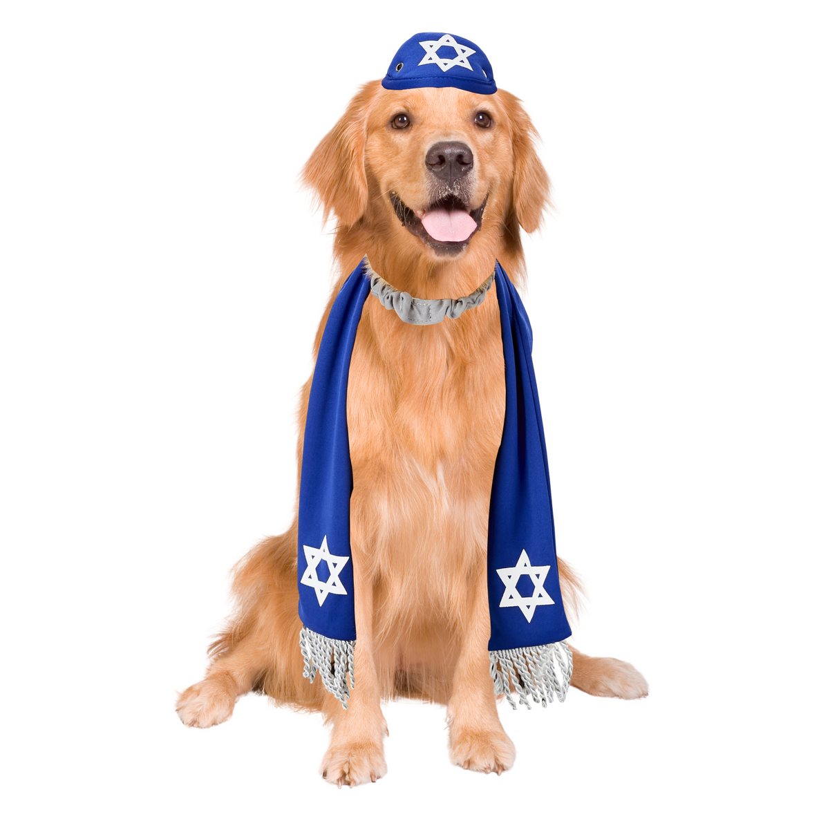 Pets Yarmulke and Tallis Hanukkah Set with Star of David