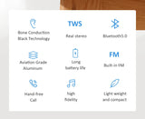 Enceinte à conduction osseuse, Bluetooth, vibration, audio stéréo, numérique, TWS, sans fil, la plus petite enceinte portable DURAMOBI Humbird