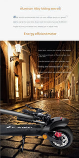 Adult Wide Tire Electric Scooter Double Disc Brake Off-road Electric Vehicle Two-wheel Foldable Driving Scooter