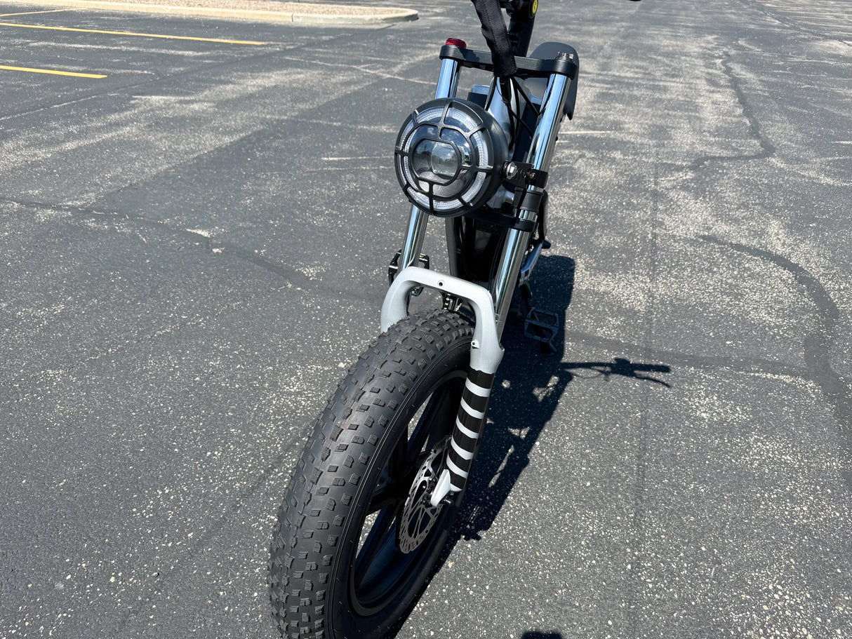 Vélo électrique puissant pour adultes, pneus larges de 20 pouces, 1 000 W, batterie au lithium 48 V, alimentation, livraison rapide, stocks américains