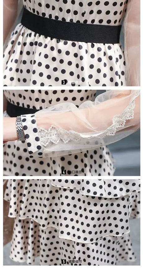 Transparent Long-Sleeved Chiffon Dress for Ladies, Polka Dot, Elegant Temperament, Fashion, New - Lootquake