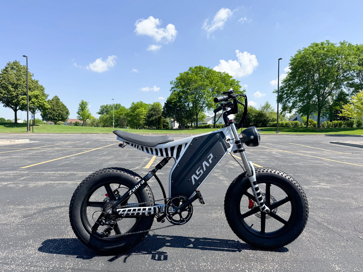 Vélo électrique puissant pour adultes, pneus larges de 20 pouces, 1 000 W, batterie au lithium 48 V, alimentation, livraison rapide, stocks américains