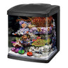 Coralife LED BioCube Aquarium Fish Tank Kit 16 Gallon - Lootquake
