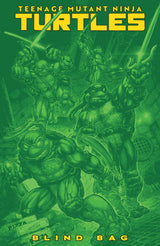 10 pack Bundle TMNT 13 Blind Bags (Pre-order)