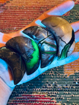 Volcano Agate Crescent Moon, UV Green Fluorescent Minerals