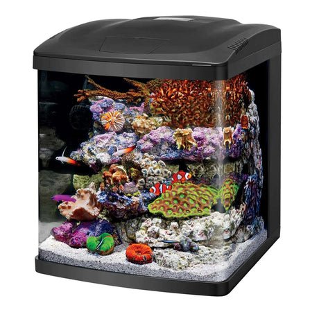 Coralife LED BioCube Aquarium Fish Tank Kit 16 Gallon - Lootquake