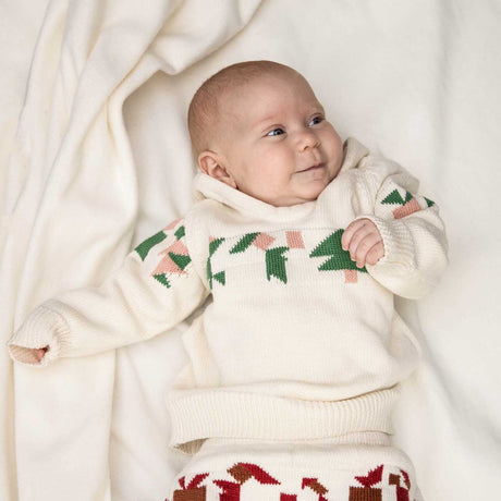 Baby Christmas Sweater Hoodie-1
