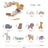 Children's Early Education Cognitive Toys - Lootquake