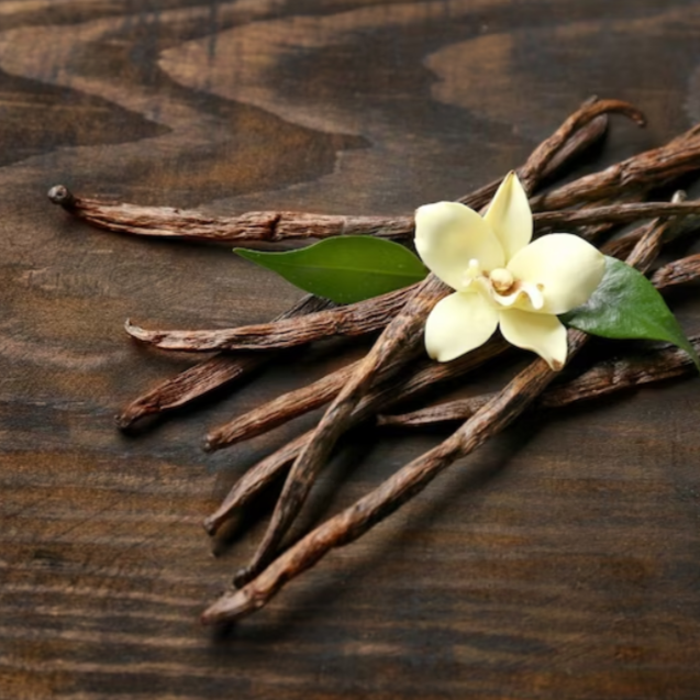 Mahogany Vanilla Fragrance Oil