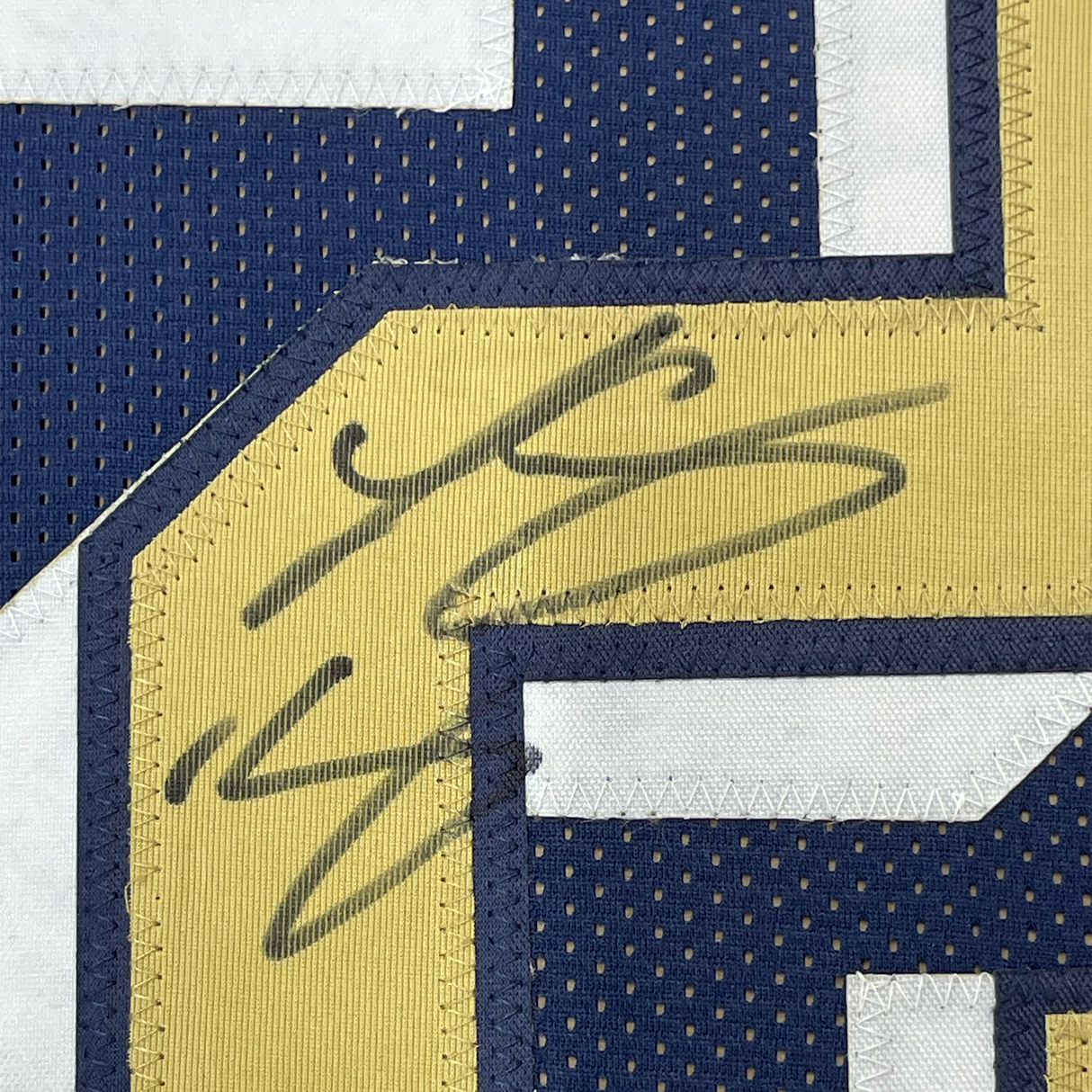 Camiseta de fútbol americano universitario azul de Pittsburgh, enmarcada, autografiada y firmada por LeSean McCoy, 35 x 39, JSA COA