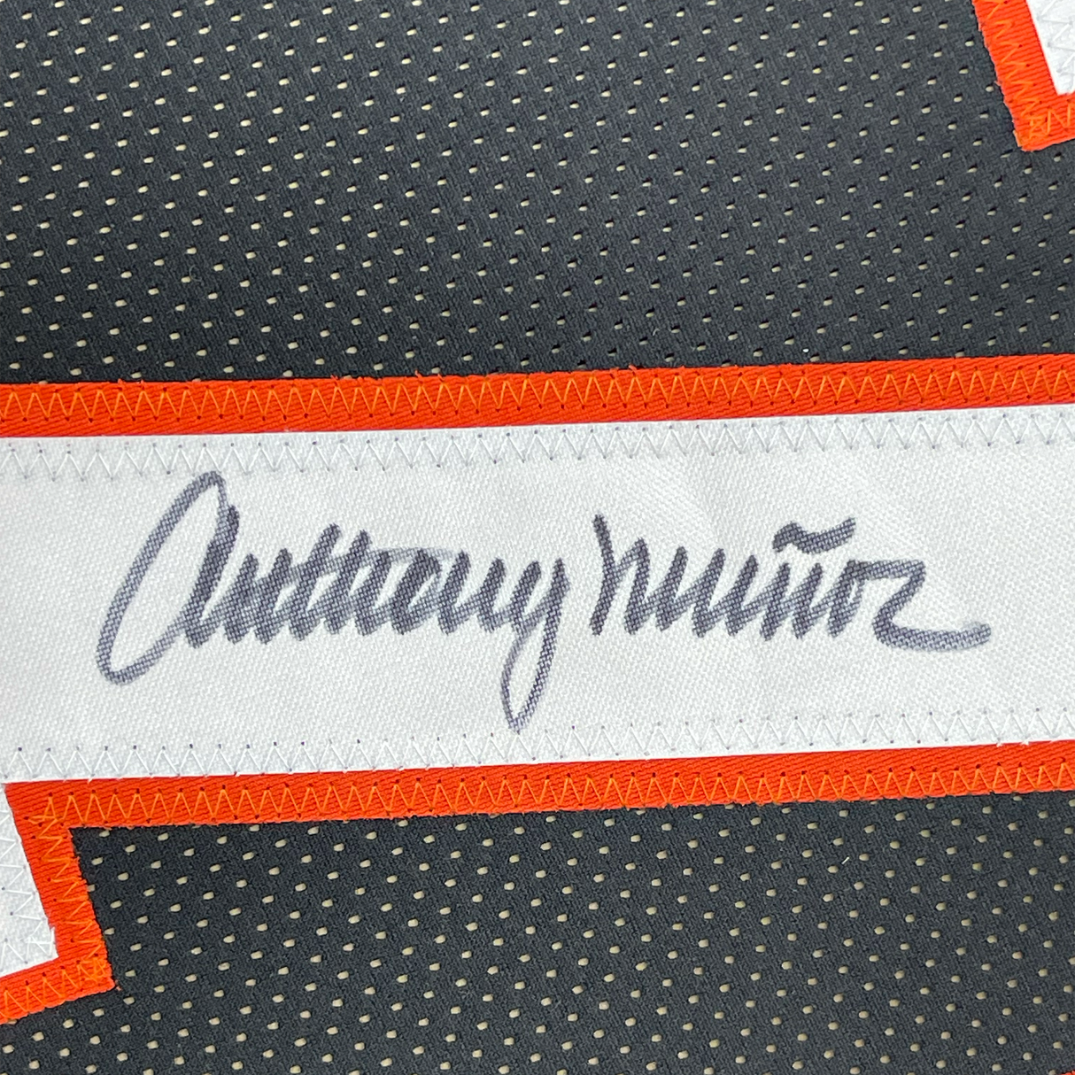 Framed Autographed/Signed Anthony Munoz 35x39 Cincinnati Black Football Jersey JSA COA
