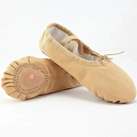 Soft Sole Exercise Ballet Shoes, Men's Art Test, Ethnic Dance Shoes, Cat Claw Shoes - Lootquake