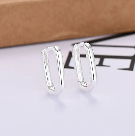 European And American Entry Lux U-shaped Earrings Female Simple Solid - Lootquake