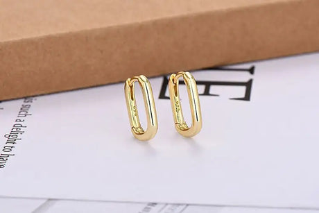 European And American Entry Lux U-shaped Earrings Female Simple Solid - Lootquake