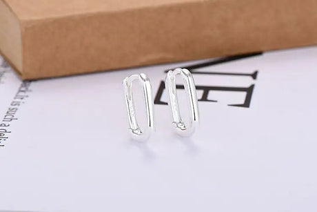 European And American Entry Lux U-shaped Earrings Female Simple Solid - Lootquake