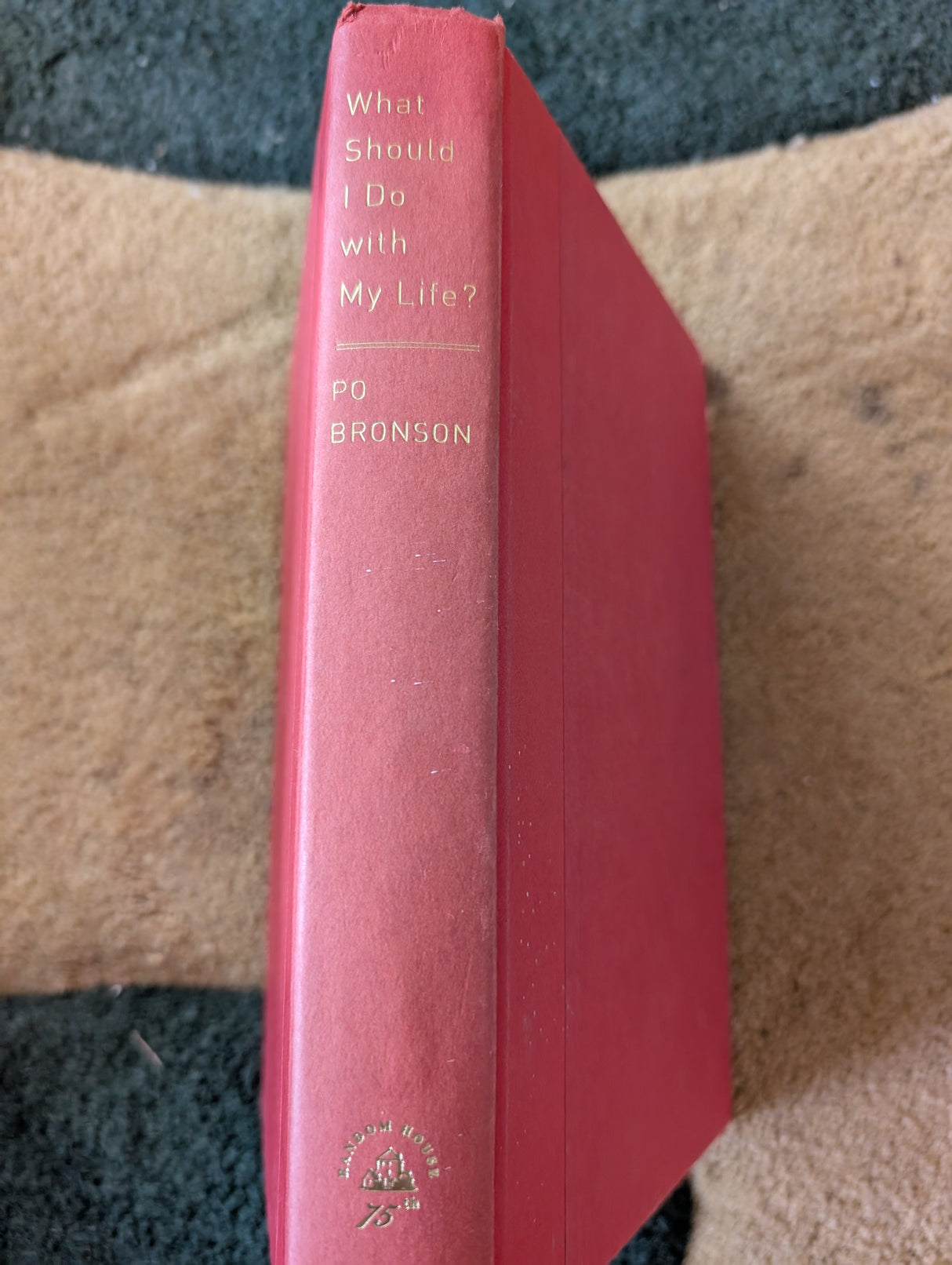 What Should I Do with My Life?: The True Story of People Who Answered the Ultimate Question - Book by Po Bronson