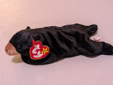 Pecan the Bear - Ty Beanie Baby (Black, 1999, Plushie, Toy, Stuffed Animal, MWMT, Vintage, Retired)